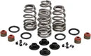 Buell S 1 Lightning [1997, 1999] - Endurance Beehive® valve springs with titanium spring plates - picture 12