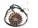 Husaberg FE 501 [2002] - Lichtmaschine Stator-1