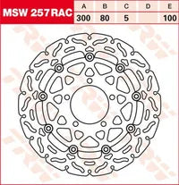 Kawasaki Ninja 1000 SX ABS [2020, 2021-2023] - Flame Series Rotor Race – Art.-Nr. 112091 – Bild 7