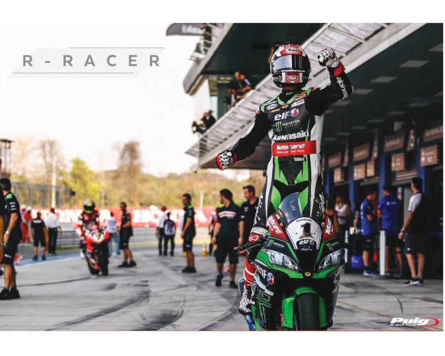 KAWASAKI ZX-10RR NINJA PERFORMANCE [2018] – R-Racer Screen – Tinted