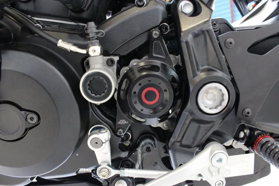 Ducati Monster 821 [Gilles Tooling] - Copertura PinEager