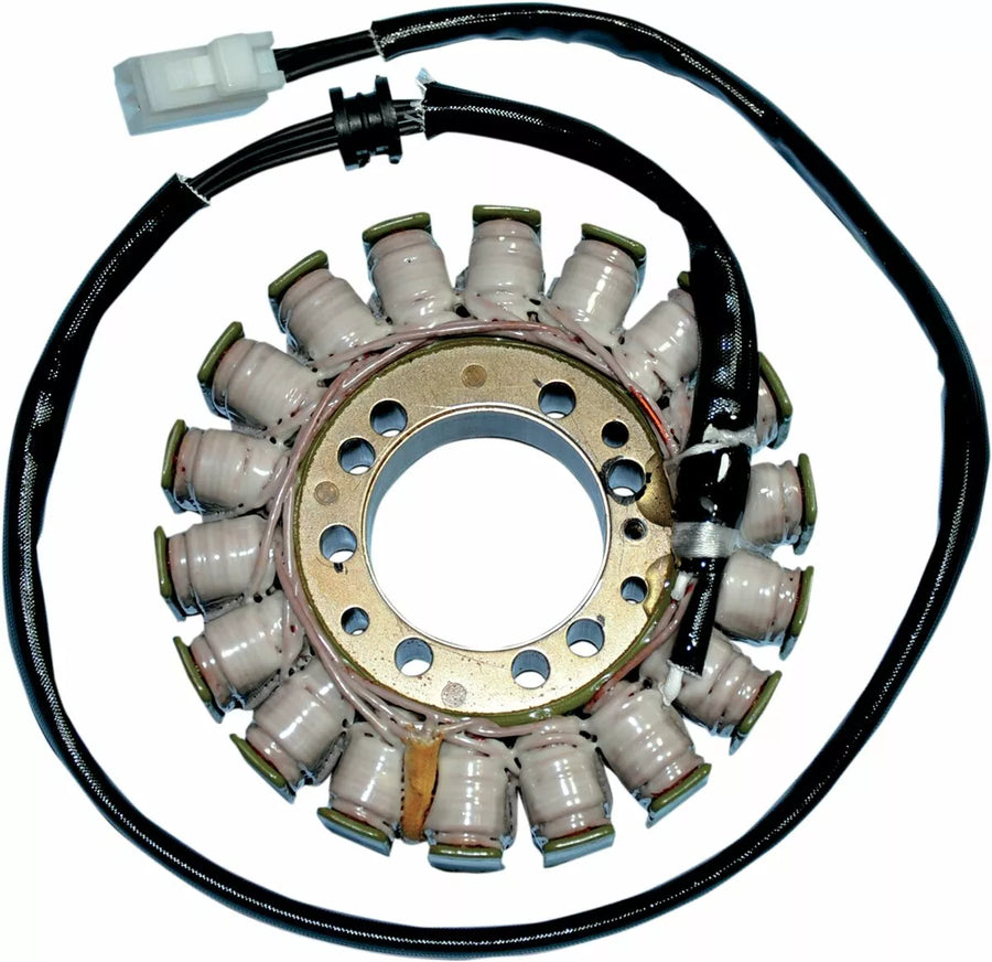 Triumph Speed ​​Triple 1050 [Rick's Motorsport Electric] - Stator for Triumph