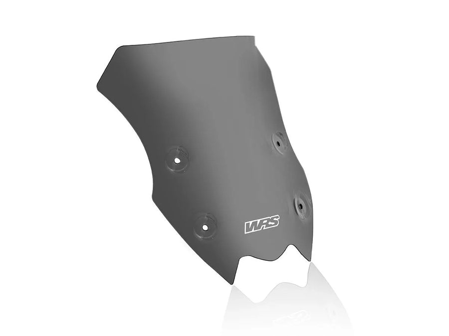 Kawasaki Z 900 [WRS] – Windschild