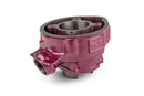 Beta RR Track 50 2T - Zylinderkit Due Plus 75 ccm