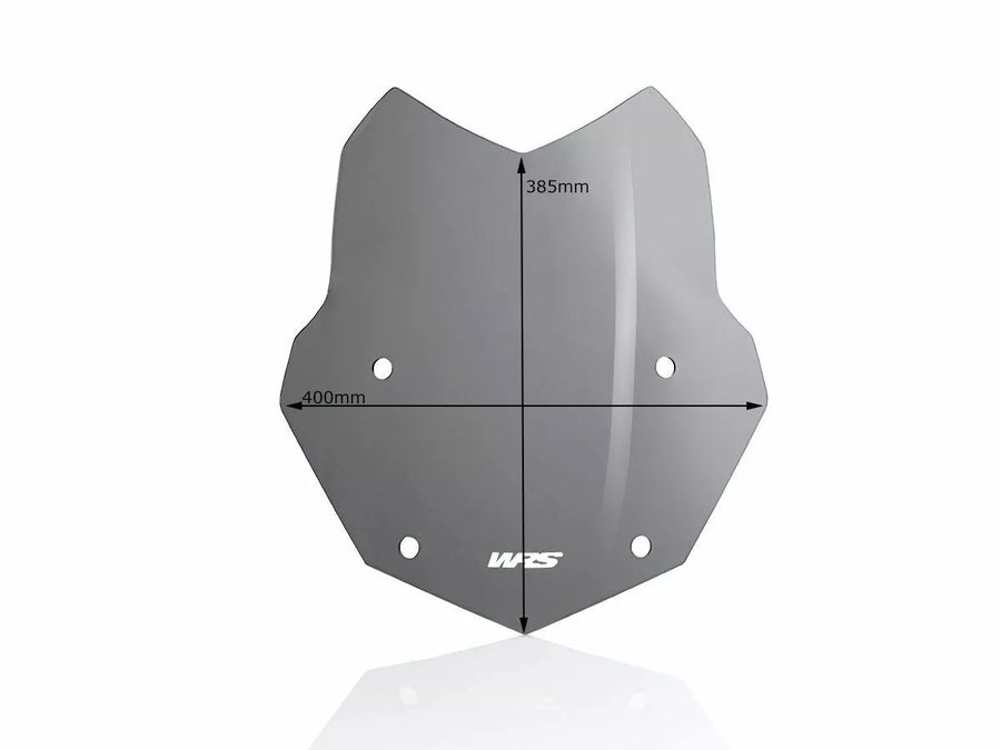 BMW R 1200 R [WRS] - parabrezza
