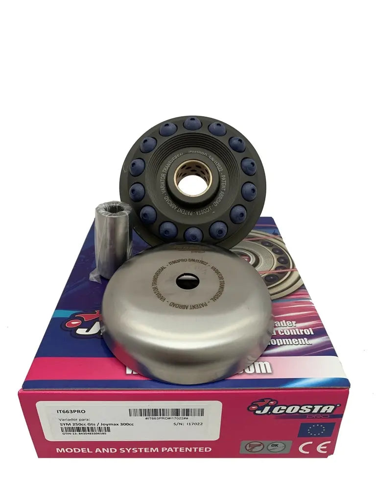 Tgb X-MOTION 250 EFI [2010] - Variator Pro – Bild 1