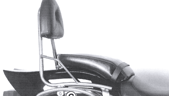 Suzuki M 800 Intruder [2005-2009] - Sissybar without luggage bridge