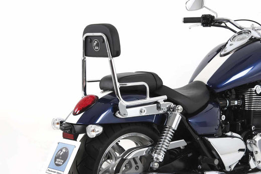Triumph Thunderbird 1600 [2009-2018] - Sissybar ohne Gepäckbrücke