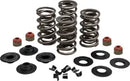 Harley-Davidson FXSTSSE3 1800 Softail Springer CVO [2009] - Endurance Beehive valve spring set for Screamin' Eagle heads - picture 10