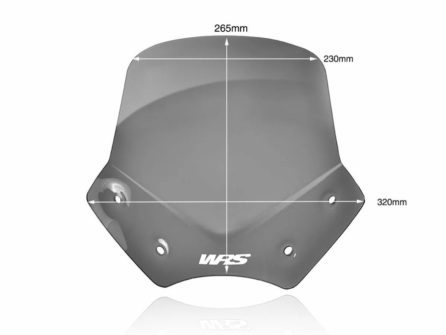 BMW R 1200 R [WRS] - pare-brise