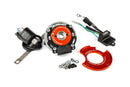 Aprilia RX 50 2T D50B1 [2006–] - Accensione a rotore interno MK2