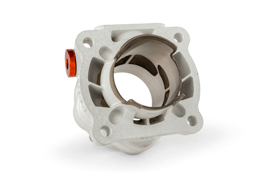 Aprilia SR Netscaper 50 2T LC - kit cilindro R/T 95ccm