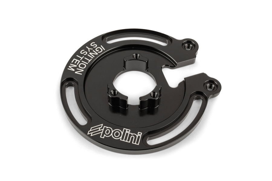 Aprilia RX 50 2T D50B1 [2006–] - Digital racing ignition with light