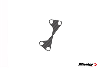 KAWASAKI Z 750 R [2012] – Protecteur de joug Xtreme – Look carbone