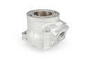 Aprilia SR Netscaper 50 2T LC - cylinder kit FL100