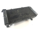 Suzuki DL 1000 V-Strom [2006] - Radiator Water Cooler-3