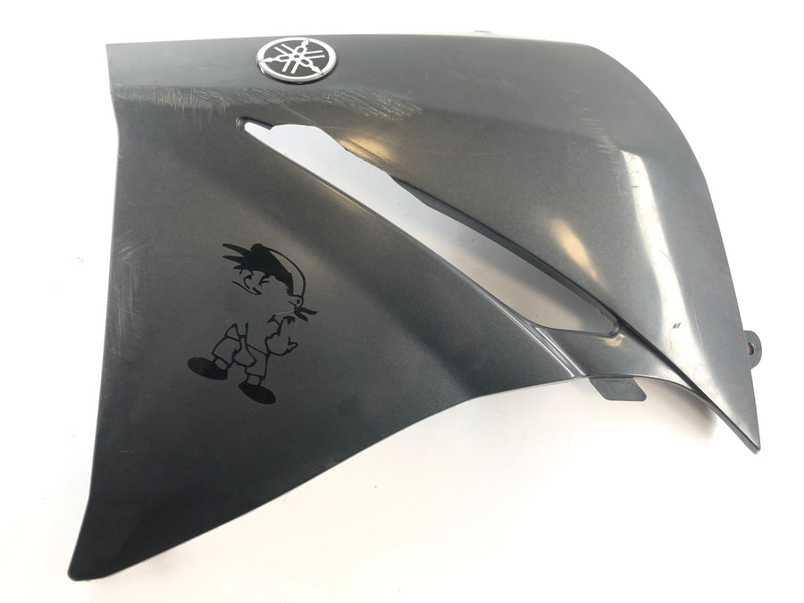 Yamaha XT 660 DM01 [2005] - rivestimento del lato di compensazione nella parte anteriore sinistra