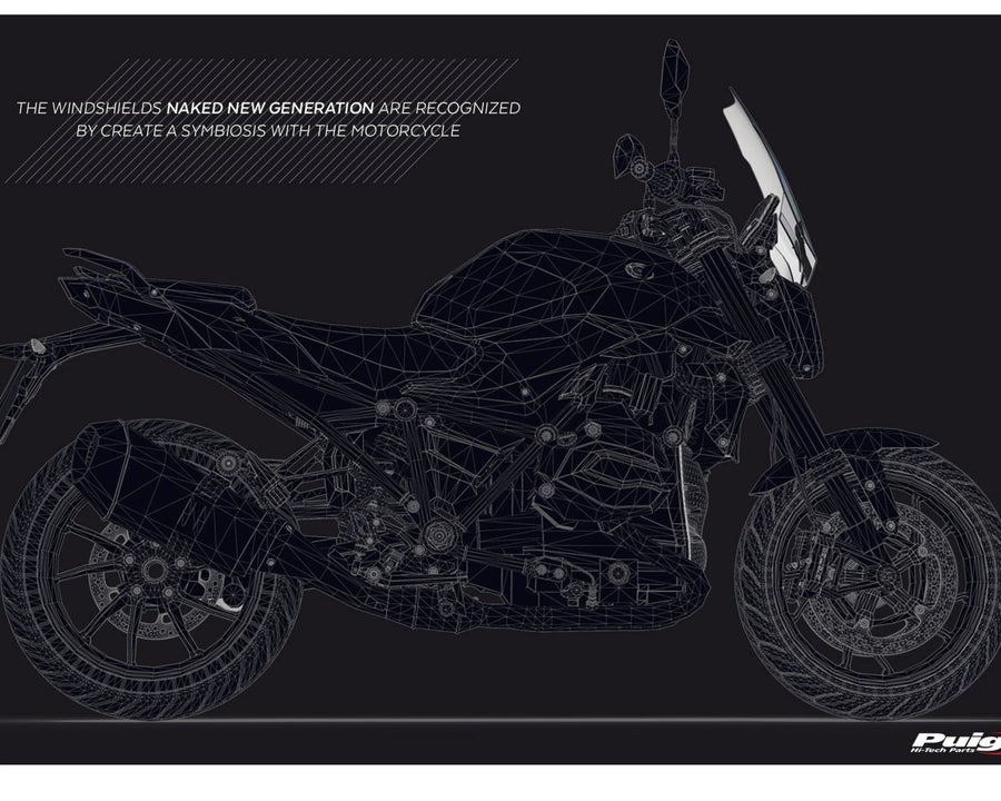 BMW R 1250 R [2025] – New Generation Sport – Getönt