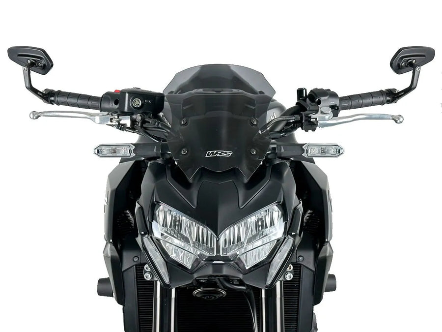 Kawasaki Z 900 [WRS] – Windschild
