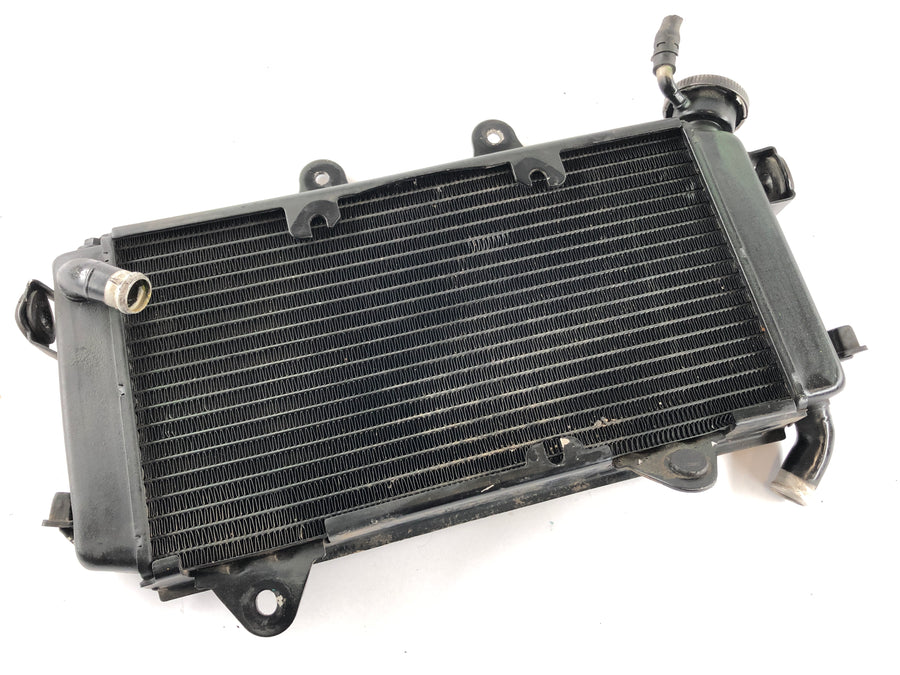 KTM Duke 390 [2014] - Wasserkühler Kühler