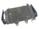 KTM Duke 125 [2011] - Radiateur d'eau-3