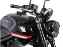 Triumph Trident 660 [2025] - Lampenschutzgitter-1
