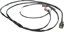 Harley-Davidson Ultra Limited [DINAMICA PERSONALIZZATA] – Cablaggio-2