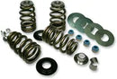Harley-Davidson FXSTSSE3 1800 Softail Springer CVO [2009] - Endurance Beehive valve spring set for Screamin' Eagle heads - picture 4