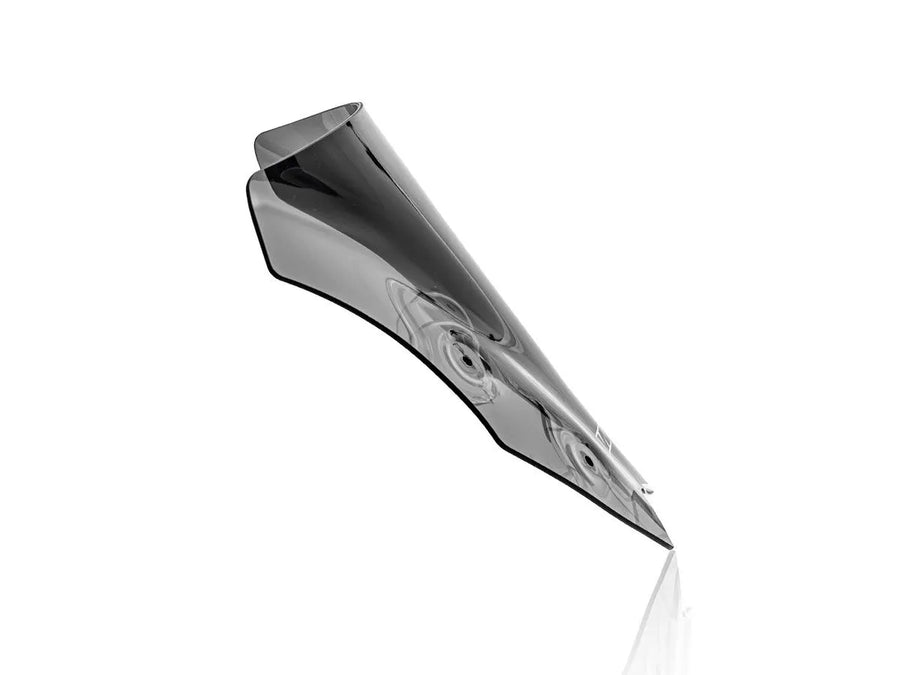 Kawasaki Z 900 [WRS] – Windschild