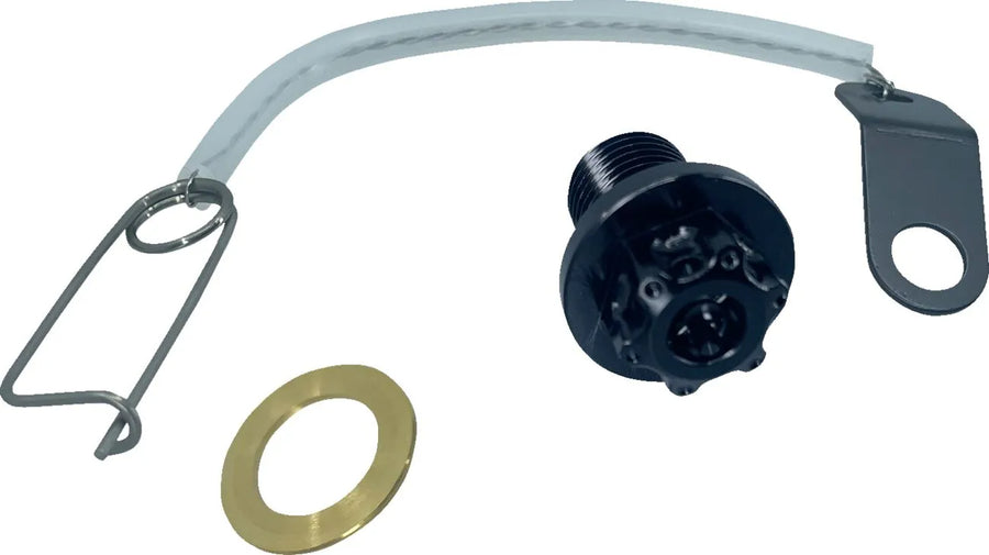 Suzuki SV 650 [PSR] - magnetic oil drain screw