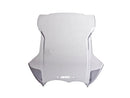 bmw r 18 [WRS] – Windschild-3