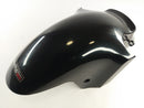 Kawasaki ZX-12R ZXT20A [2004] - Garde-boue avant-3