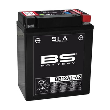 BMW F 650 GS [BS BATTERY] - Motorradbatterie