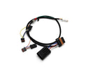 Harley-Davidson Pan America [DENALI] - DialDim Kit D3 Nebellicht-7