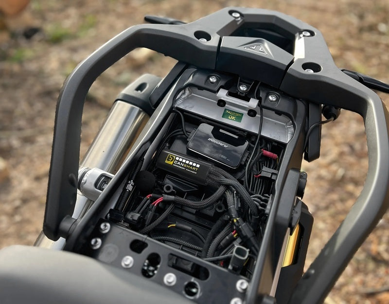 Triumph Tiger 1200 Rally Pro [DENALI] - CANsmart™ Kit D3 Nebellicht