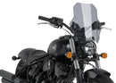 INDIAN CHIEF DARK HORSE [2021] – Daytona IV – Trasparente-8