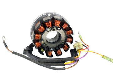 ARCTIC CAT MOUNTAIN CAT 800 [2001-2002] - Stator für Snowmobile