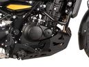 Royal Enfield Himalayan 450 [2024-2025] - motor protection plate-3