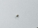 Rolex Calibre 2030 [Datejust 26mm] - 54459 Ressort de butée à vis du balancier-1