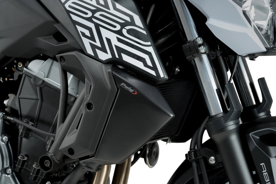 KAWASAKI Z 650 [2019] – radiator cap – carbon look