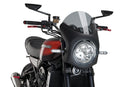 KAWASAKI Z 900 RS SE [2025] – Retro-Verkleidungscheibe – Transparent-22