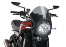 KAWASAKI Z 900 RS SE [2025] – Raptor – Stark getönt-8