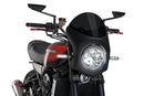 KAWASAKI Z 900 RS SE [2025] – Retro-Verkleidungscheibe – Transparent-16