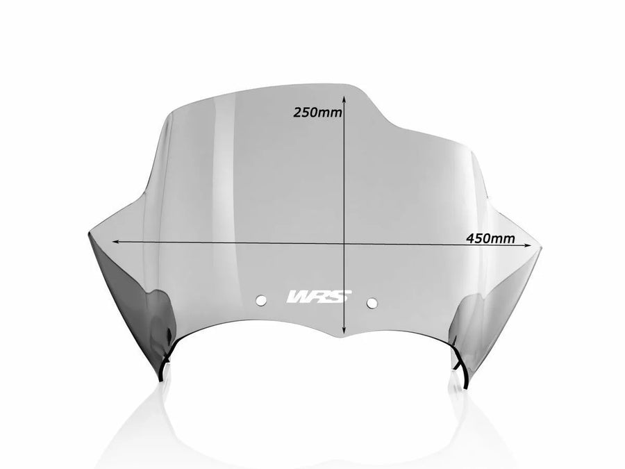 BMW R 1200 GS [WRS] – Windschild