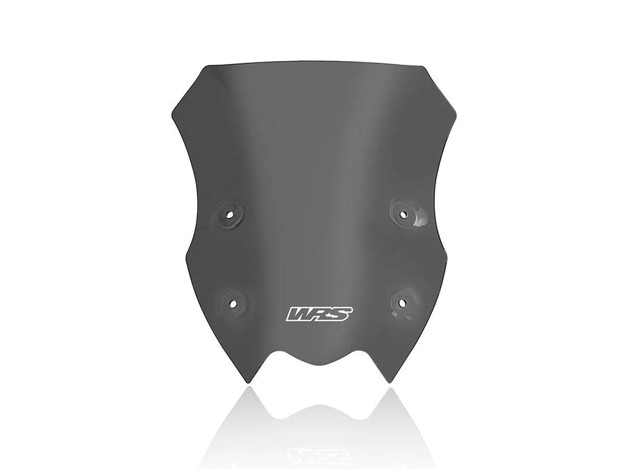 Kawasaki Z 900 [WRS] – Windschild