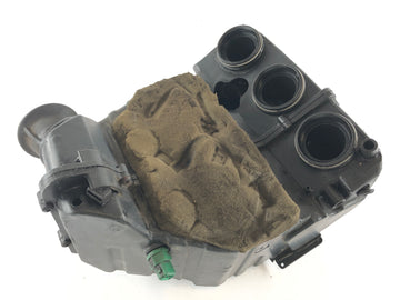 Triumph Tiger 955i 709EN [2001] - Airbox
