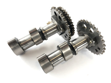 Can on the Spyder SM5 [2009] - CAMBATS COPPIA DI CILINDERS PER LEVI