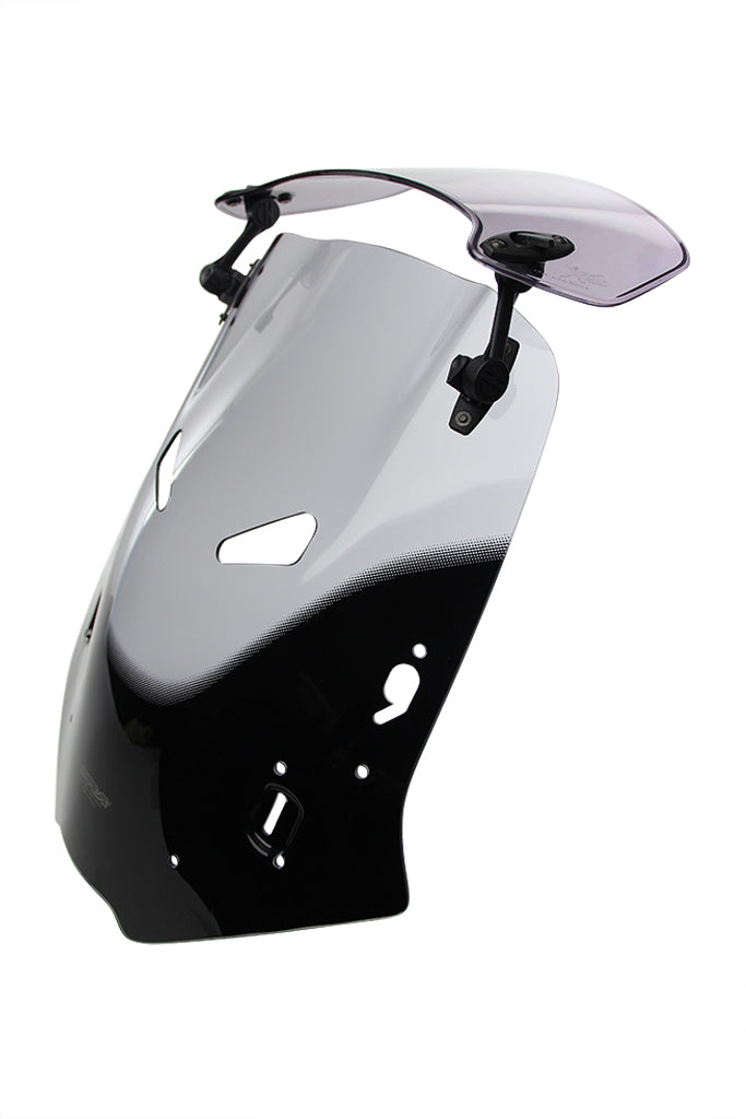 Honda CBF 1000 [2006-]-X-screen touring "XCTM"