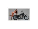 Harley Davidson Touring [2008-2024] -SuperCharger en 2 parties Disque de frein derrière-3