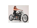 Harley Davidson Touring [2008-2024]-Nitro brake disc stainless steel polished 11.8 "-9